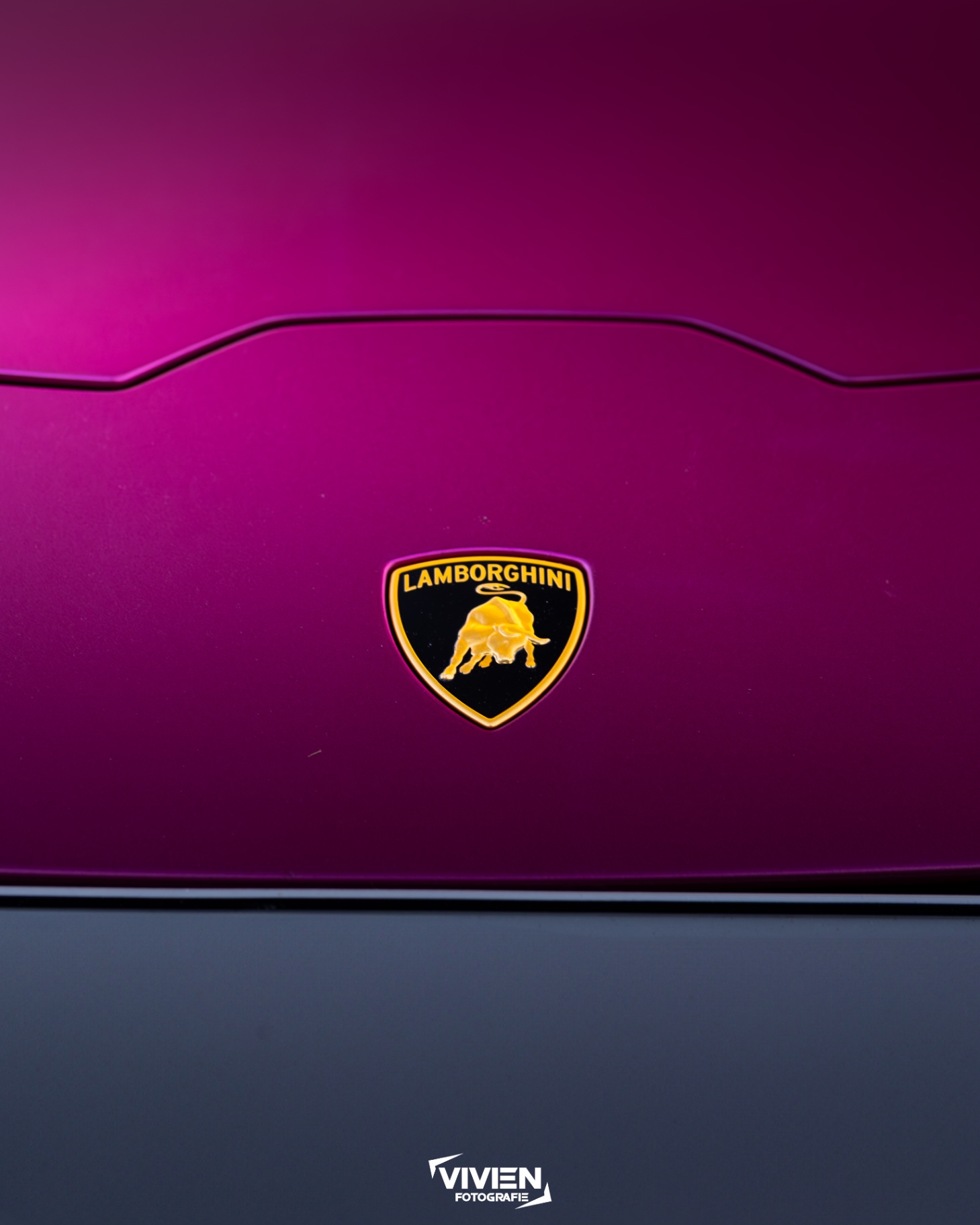 Lamborghini · Viola Pasifae · Crest Study