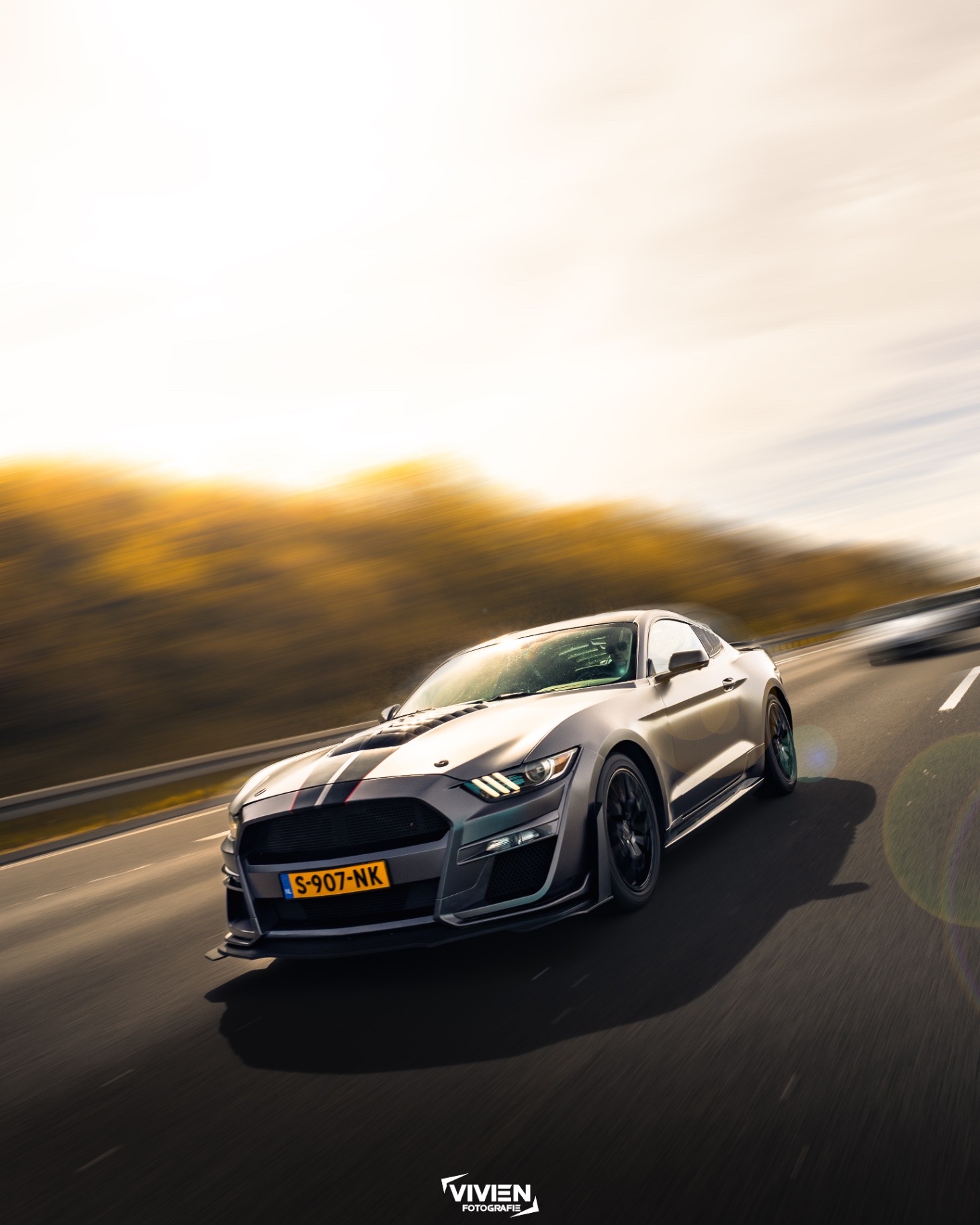 Mustang Shelby · Satin Grey · Autumn Highway